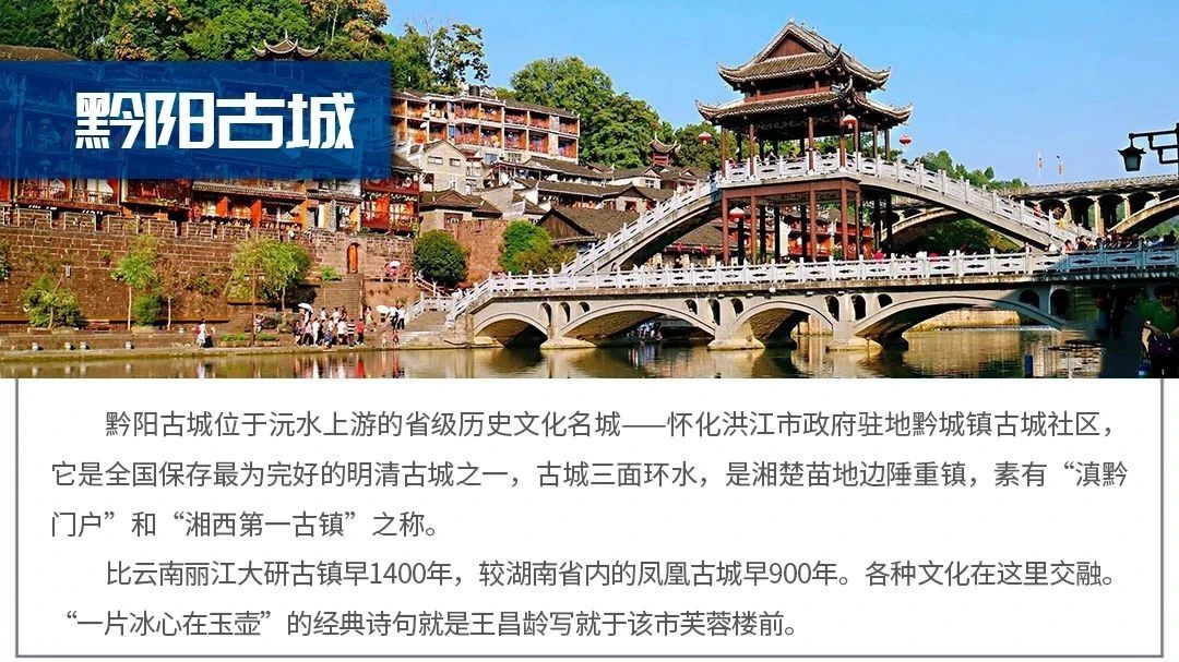 1598423528843005052.jpg 1598423528843005052.jpg